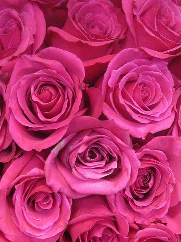 Camila Arreglo Floral