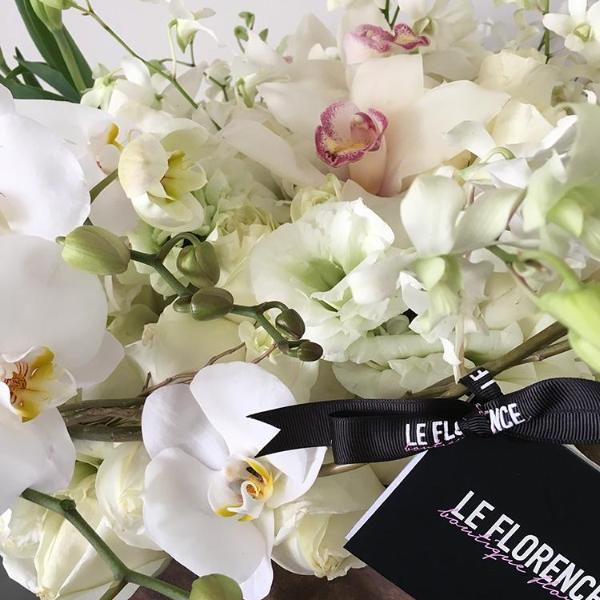 ALEXA - leflorence.com.mx