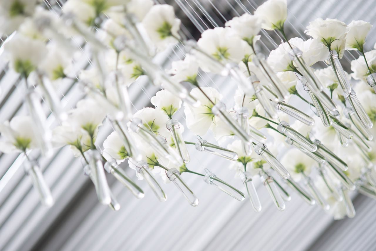 Decoración floral para eventos en CDMX: estilos que marcan la diferencia - Le Florence