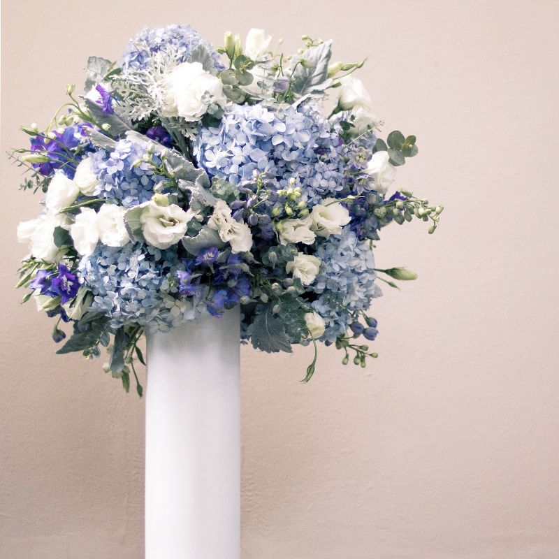 Entre flores y perfumes - Le Florence