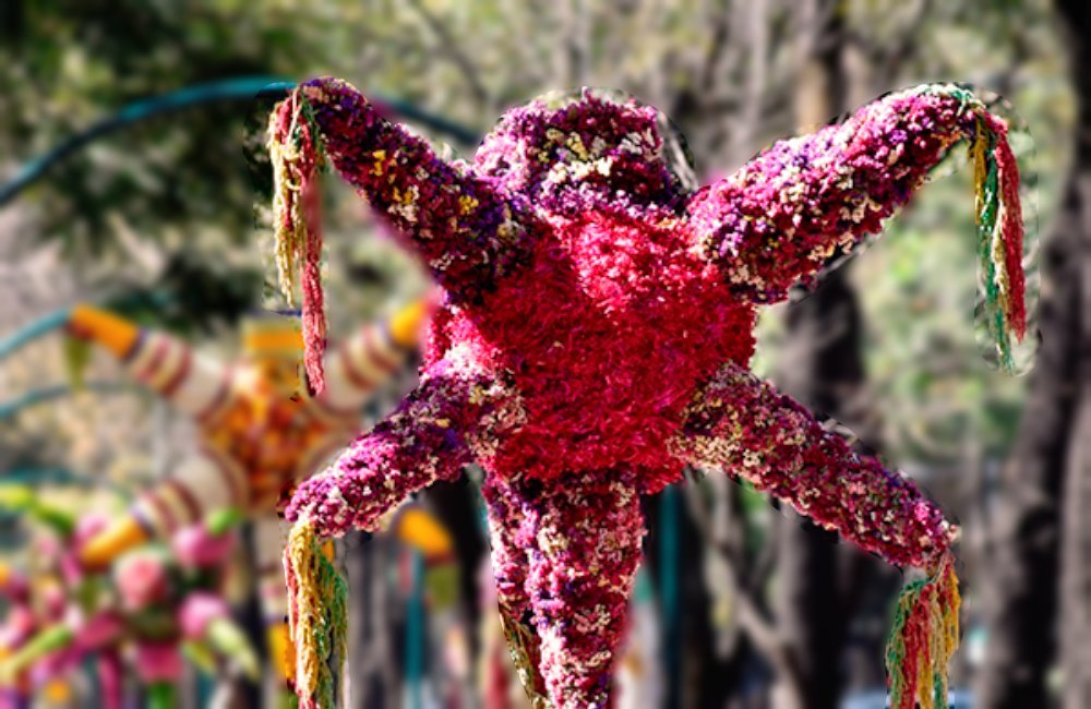 No te lo puedes perder: piñatas florales en el Jardín Botánico de Chapultepec - Le Florence
