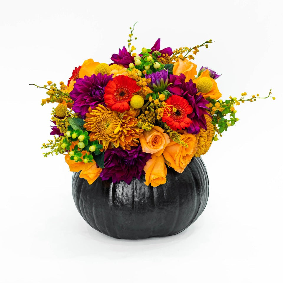 Calabaza Negra