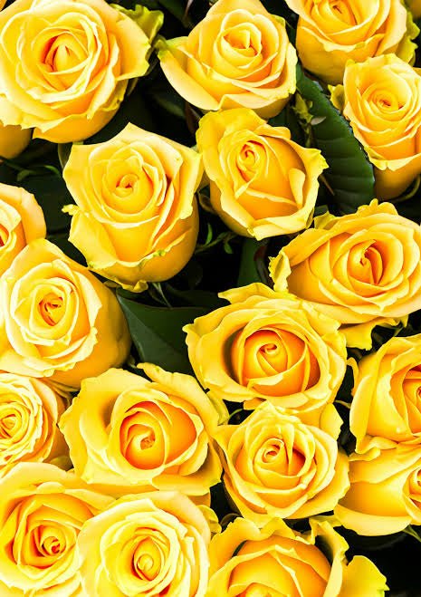 [product_title] - Le Florence Boutique Floral