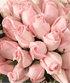 [product_title] - Le Florence Boutique Floral