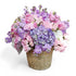 [product_title] - Le Florence Boutique Floral