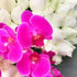 ANA - leflorence.com.mx