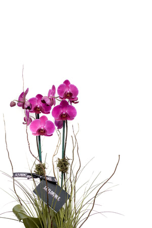 Malena Arreglo Floral