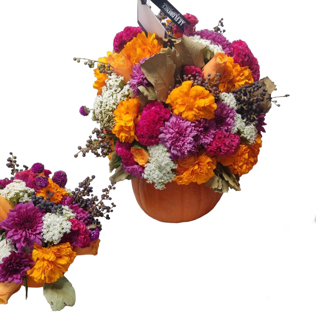 3 calabazas fucsia