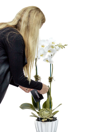 Pri Arreglo Floral