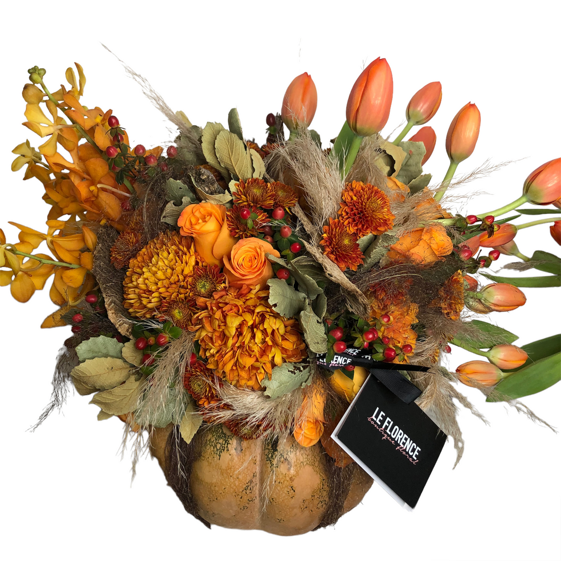 Calabaza Tulipanes