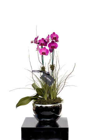 Malena Arreglo Floral