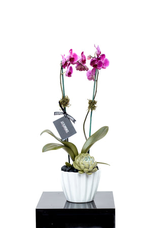 Pri Arreglo Floral