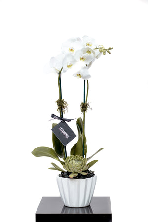 Pri Arreglo Floral