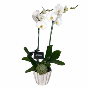 Pri Arreglo Floral