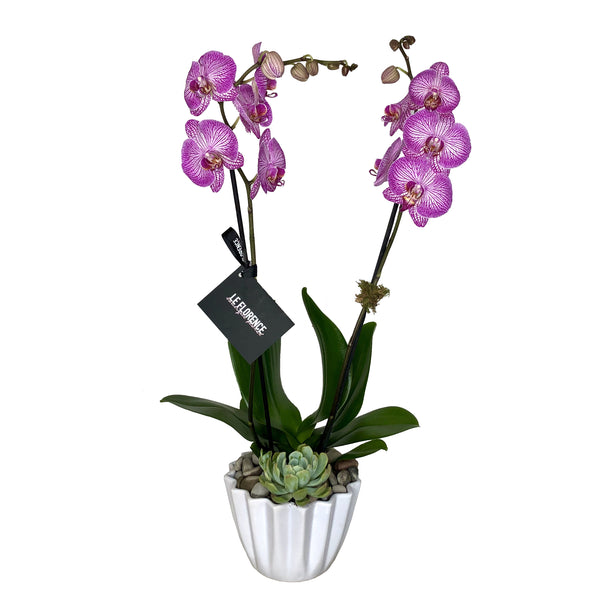 Pri Arreglo Floral
