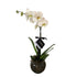 [product_title] - Le Florence Boutique Floral