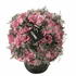 [product_title] - Le Florence Boutique Floral