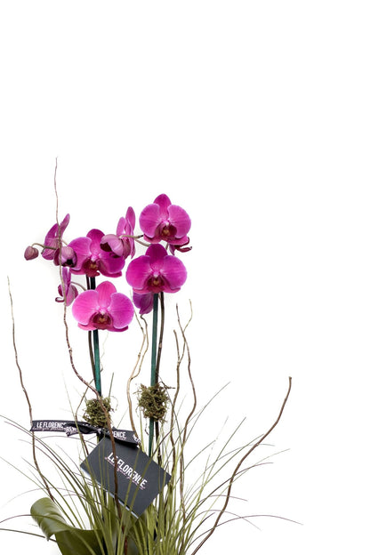 [product_title] - Le Florence Boutique Floral
