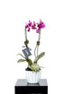 [product_title] - Le Florence Boutique Floral