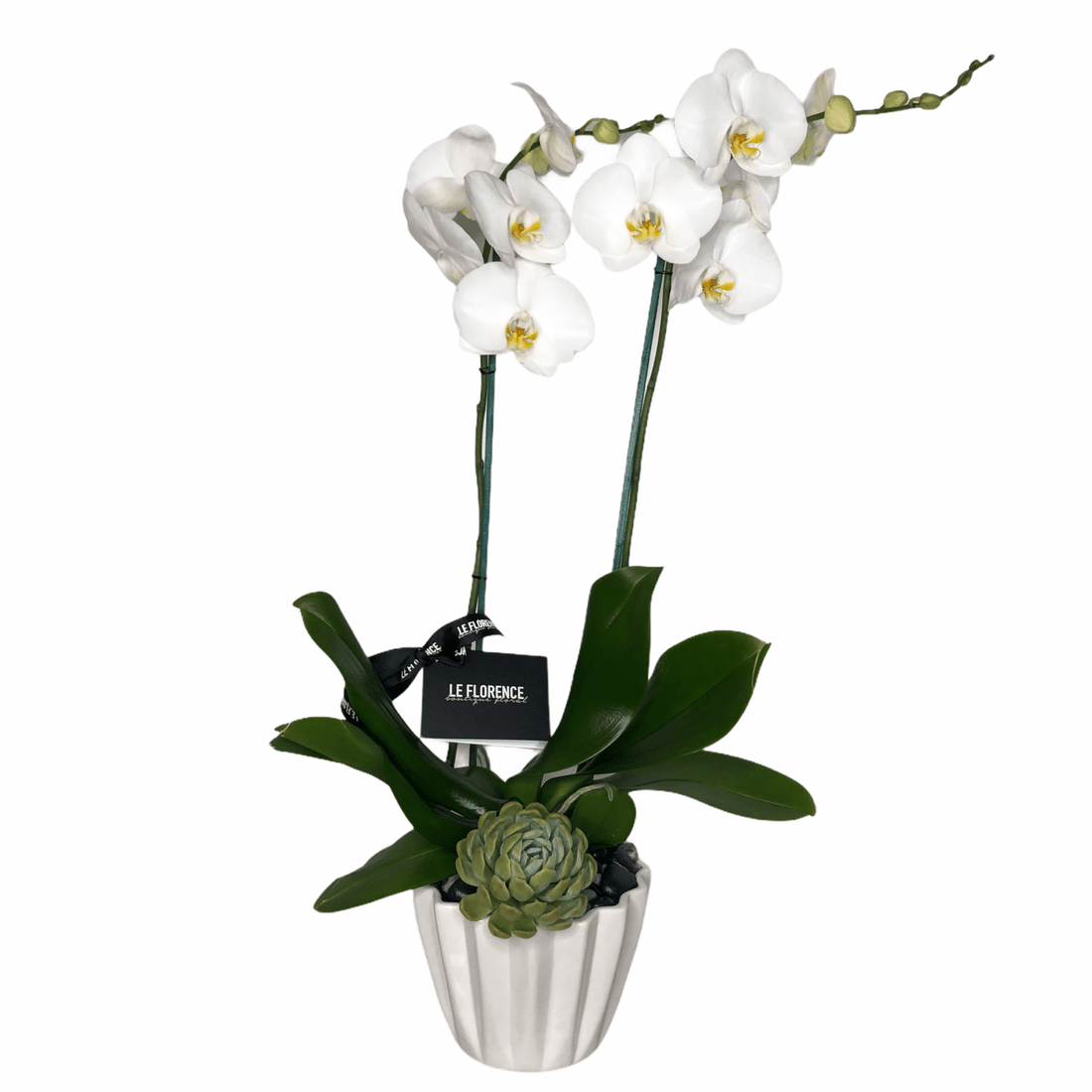 [product_title] - Le Florence Boutique Floral