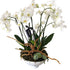 [product_title] - Le Florence Boutique Floral