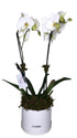 [product_title] - Le Florence Boutique Floral